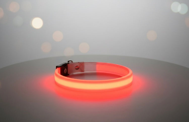 Arix™ LED Dog Collar