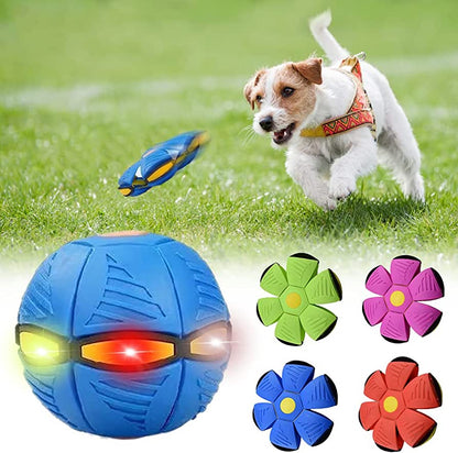 Arix™ Dog Frisbee