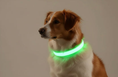 Arix™ LED Dog Collar