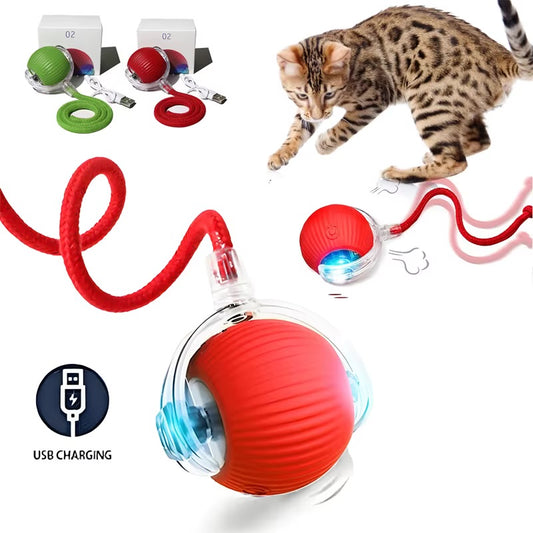 Arix™ Smart Interactive Ball with Tail