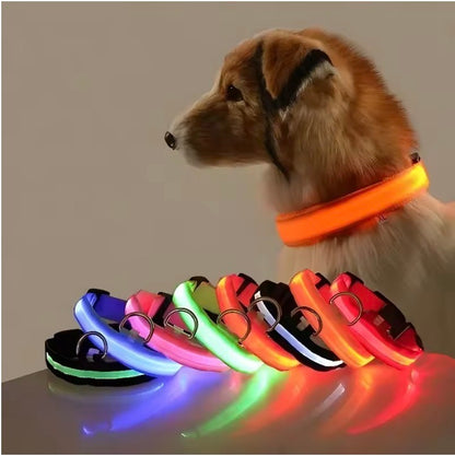 Arix™ LED Dog Collar