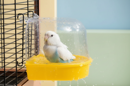 Arix™ Transparent Bird Bath Basin