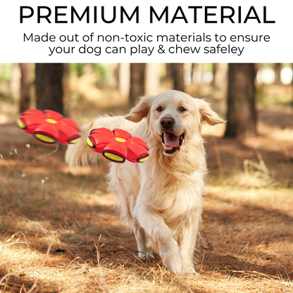 Arix™ Dog Frisbee