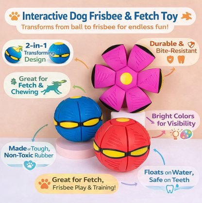 Arix™ Dog Frisbee
