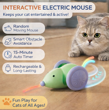 Arix™ Interactive Electric Mouse